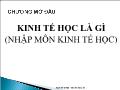 Kinh tế học - Kinh tế học là gì (nhập môn kinh tế học)