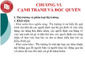 Kinh tế học Vi mô - Chương VI: Cạnh tranh và độc quyền