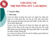 Kinh tế học Vi mô - Chương VII: Thị trường sức lao động