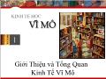 Kinh tế học vĩ mô - Giới thiệu và tổng quan kinh tế vĩ mô