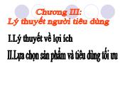 Kinh tế vi mô - Chương III: Lý thuyết người tiêu dùng