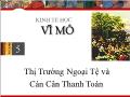 Kinh tế vĩ mô - Thị trường ngoại tệ và cán cân thanh toán