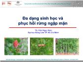 Đa dạng sinh học và phục hồi rừng ngập mặn