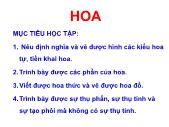 Nông nghiệp - Hoa