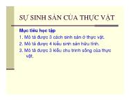 Nông nghiệp - Sự sinh sản của thực vật