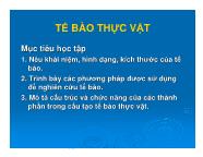 Nông nghiệp - Tế bào thực vật