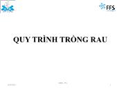 Quy trình trồng rau