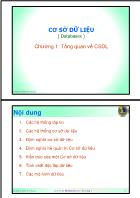 Bài giảng Cơ sở dữ liệu (Databases) - Chương 1: Tổng quan về CSDL