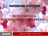 Bài giảng Database systems - Data storage & indexing structures for files
