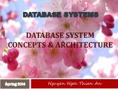 Bài giảng Database systems - Database system concepts & architecture