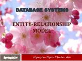 Bài giảng Database systems - Entity-relationship model