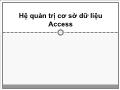 Lý thuyết Hệ quản trị cơ sở dữ liệu Access