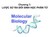 Bài giảng Sinh hóa học - Chương 1: Lược sử ra đời sinh học phân tử