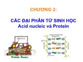 Bài giảng Sinh hóa học - Chương 2: Các đại phân tử sinh học acid nucleic và protein