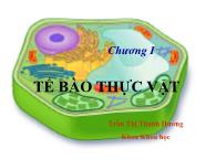 Bài giảng Sinh hóa học - Chương I: Tế bào thực vật