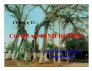 Bài giảng Sinh hóa học - Chương III: Cơ quan dinh dưỡng