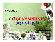 Bài giảng Sinh hóa học - Chương IV: Cơ quan sinh sản (hạt và quả)