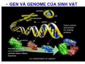 Bài giảng Sinh hóa học - Gen và genome của sinh vật