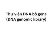 Công nghệ di truyền - Thư viện DNA bộ gene (DNA genomic library)