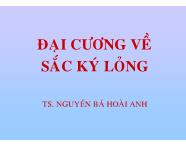 Đại cương về sắc ký lỏng