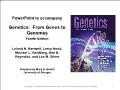 Genetics: From genes to genomes - Chapter 10: What genes are and what they do