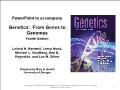 Genetics: From genes to genomes - Chapter 13: How genes travel on chromosomes