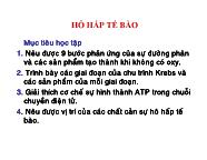 Hô hấp tế bào