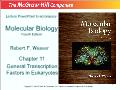 Molecular biology - Chapter 11: General transcription factors in eukaryotes