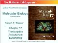 Molecular biology - Chapter 12: Transcription activators in eukaryotes