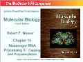 Molecular biology - Chapter 15: Messenger rna processing II: Capping and polyadenylation