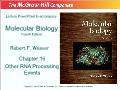 Molecular biology - Chapter 16: Other rna processing events