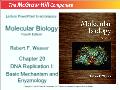 Molecular biology - Chapter 20: DNA replication I: Basic mechanism and enyzmology