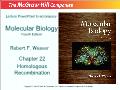 Molecular biology - Chapter 22: Homologous recombination