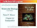 Molecular biology - Chapter 23: Transposition