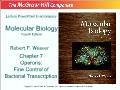 Molecular biology - Chapter 7: Operons: Fine control of bacterial transcription