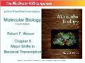 Molecular biology - Chapter 8: Major shifts in bacterial transcription