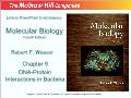 Molecular biology - Chapter 9: DNA - Protein interactions in bacteria