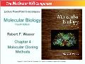 Molecular biology fourth edition - Chapter 4: Molecular cloning methods