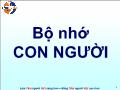 Sinh học - Bộ nhớ con người