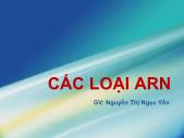 Sinh học - Các loại ARN