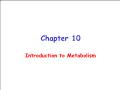 Sinh học - Chapter 10: Introduction to metabolism