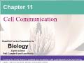 Sinh học - Chapter 11: Cell communication