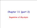 Sinh học - Chapter 11 (part 2): Regulation of glycolysis