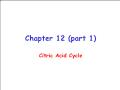 Sinh học - Chapter 12 (part 1): Citric acid cycle