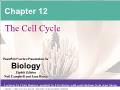 Sinh học - Chapter 12: The cell cycle