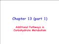 Sinh học - Chapter 13 (part 1): Additional pathways in carbohydrate metabolism