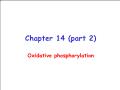 Sinh học - Chapter 14 (part 2): Oxidative phosphorylation