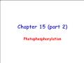 Sinh học - Chapter 15 (part 2): Photophosphorylation