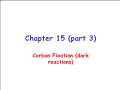 Sinh học - Chapter 15 (part 3): Carbon fixation (dark reactions)