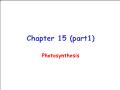 Sinh học - Chapter 15 (part1): Photosynthesis